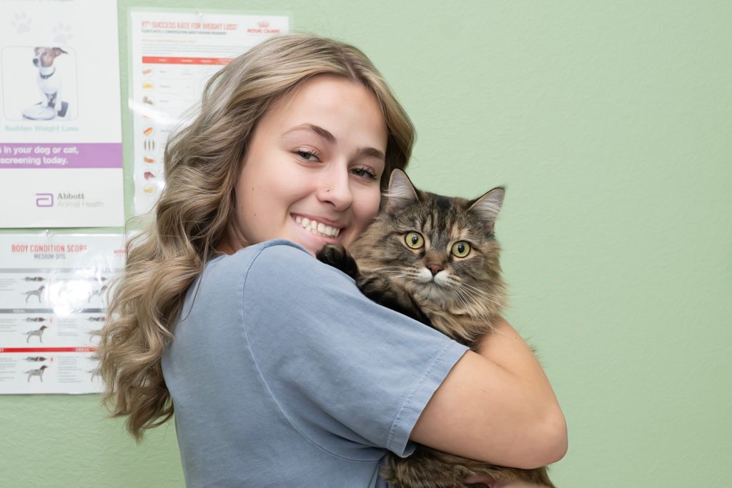 A member of the clinic holding a cat.
